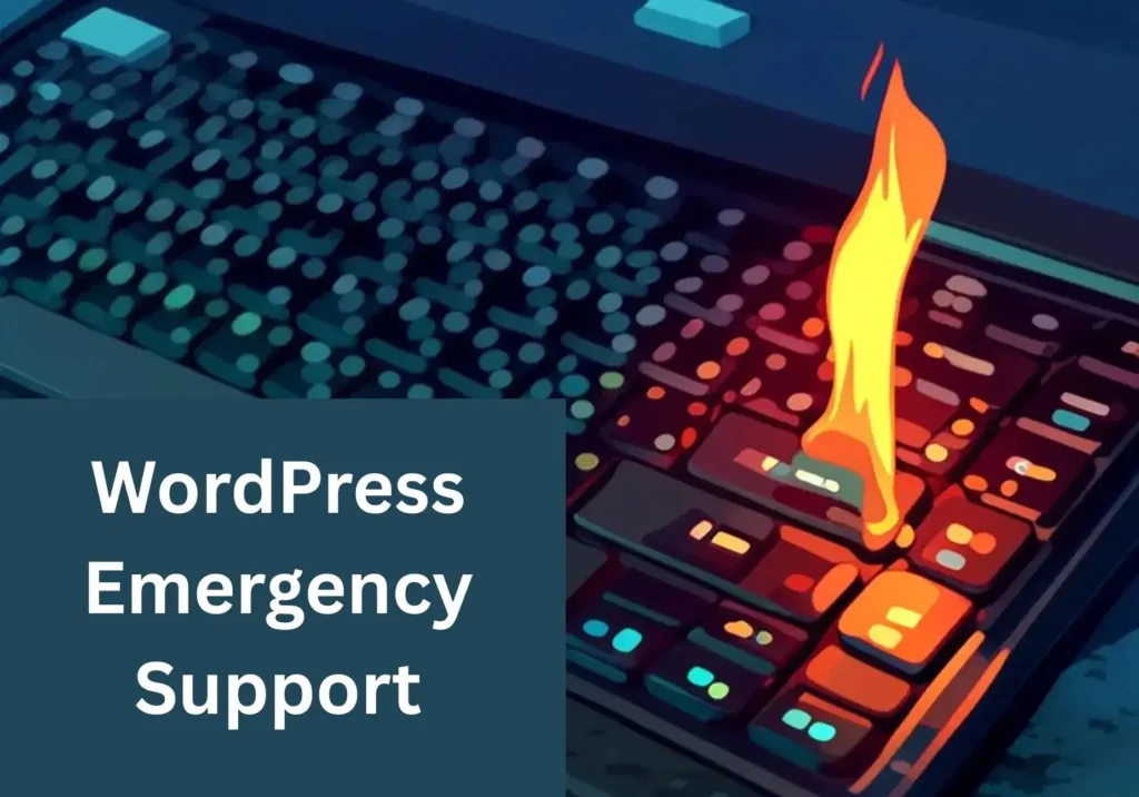 WordPress Emergency Support 1