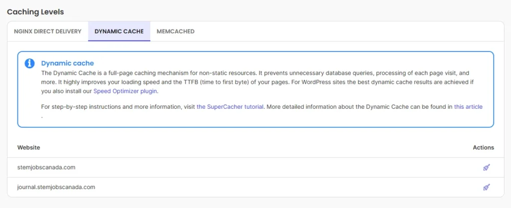 dynamic cache